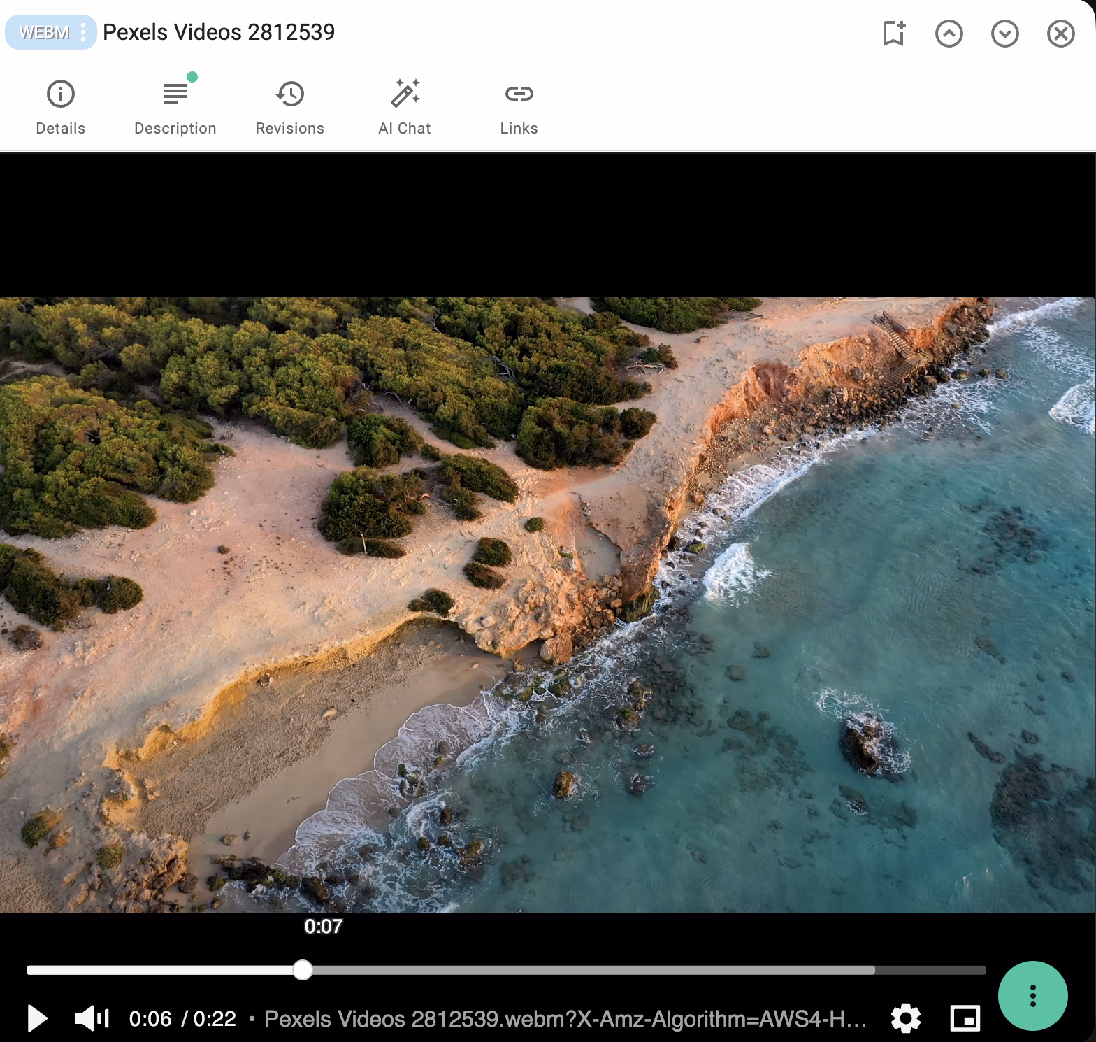 Screenshot of the media player