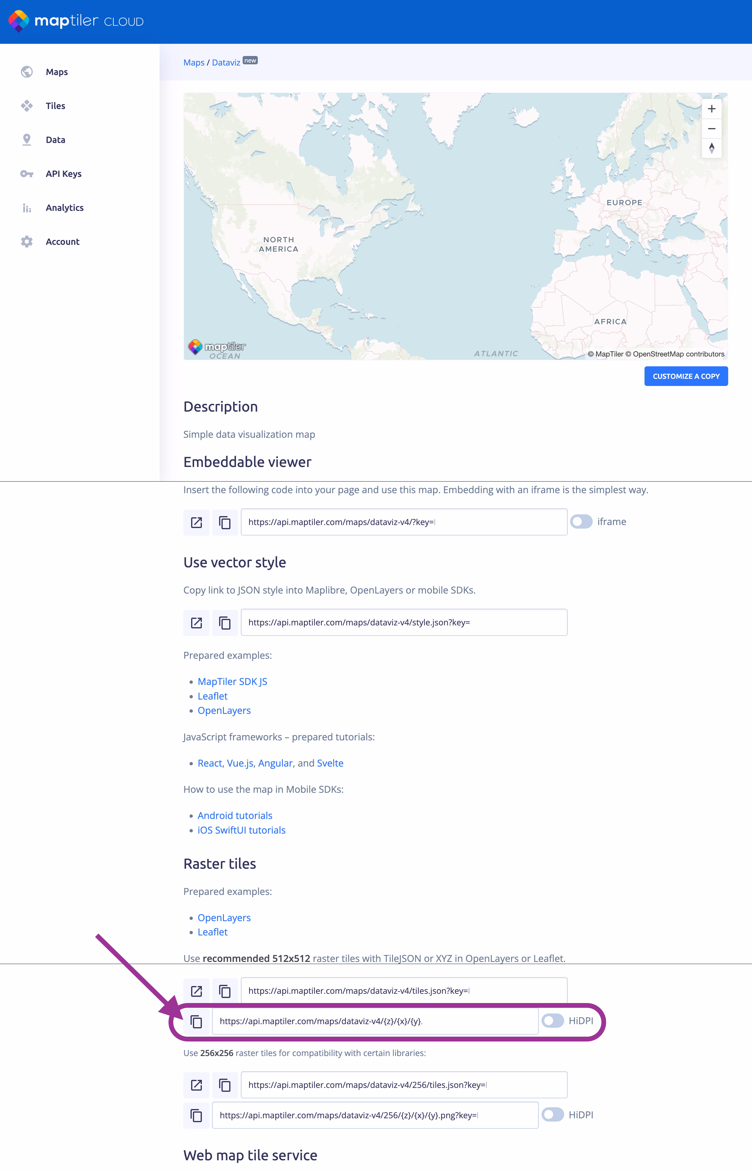 Copying the raster tile URL from MapTiler